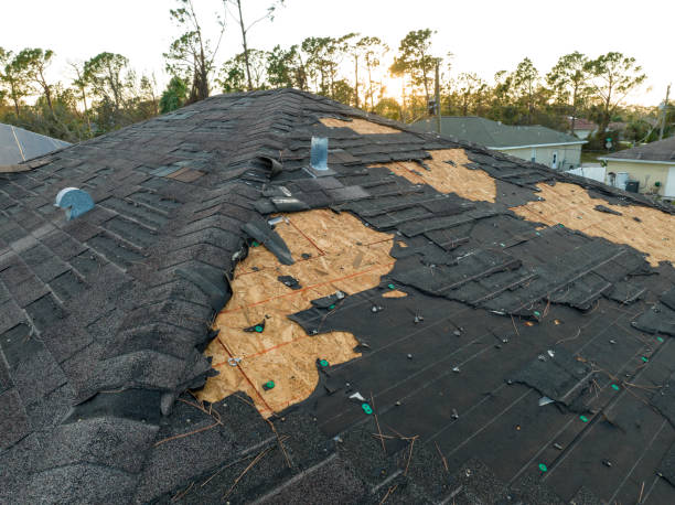 Best Gutter Installation and Repair  in Dayton, TN